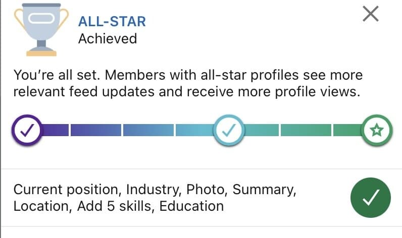 linkedin profile level meter